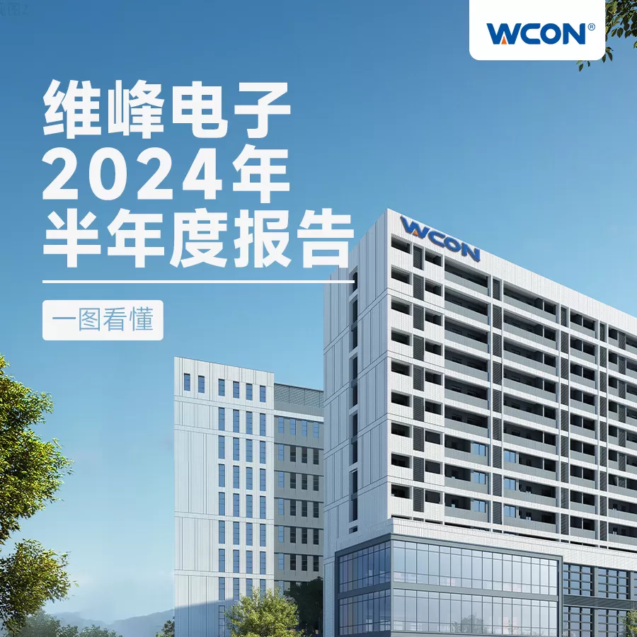 2024 年半年度报告